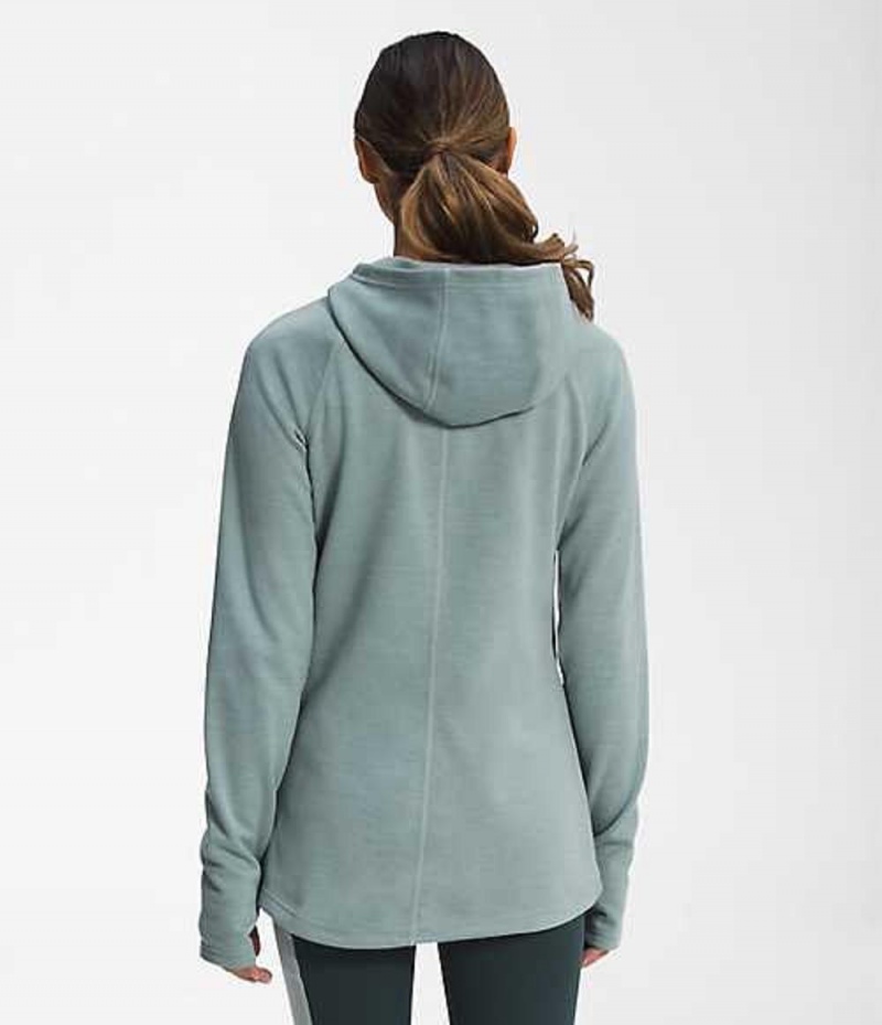 Softshell Jackets The North Face Canyonlands Mujer Plateadas Azules | 4718203-CW