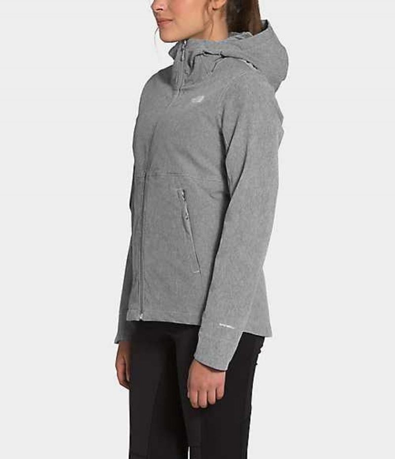 Softshell Jackets The North Face Shelbe Raschel Mujer Gris | 6580291-OQ