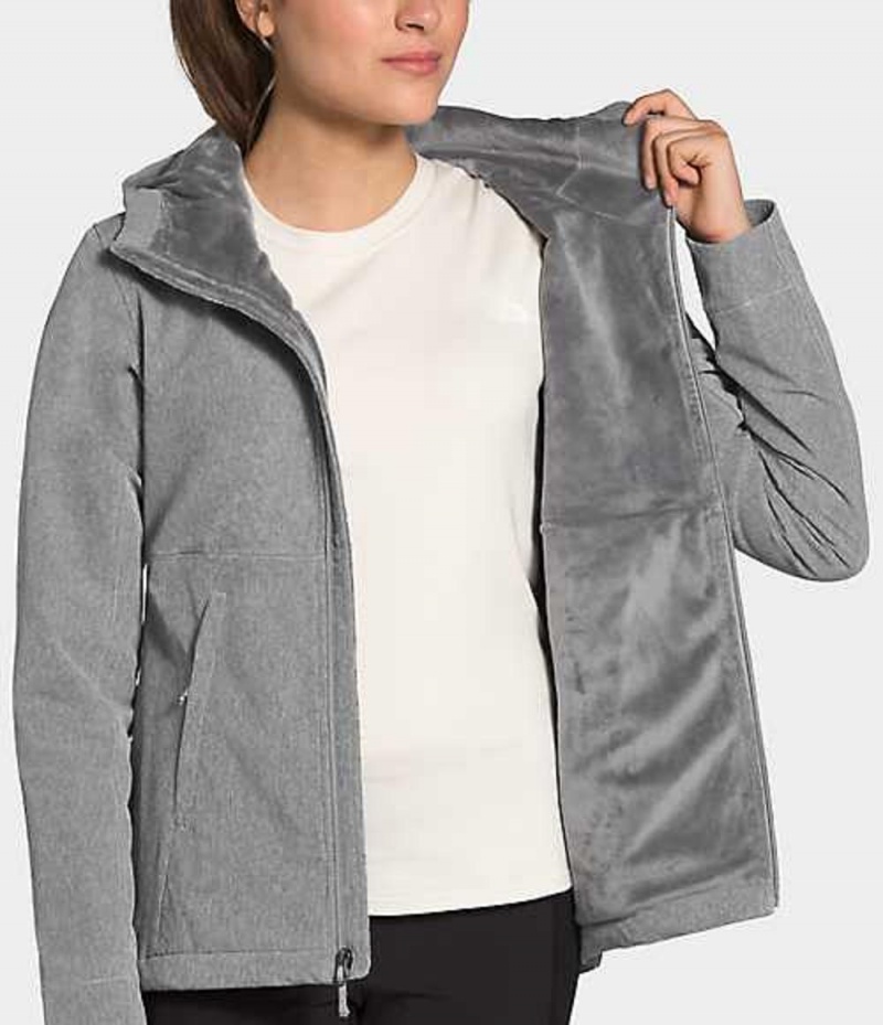 Softshell Jackets The North Face Shelbe Raschel Mujer Gris | 6580291-OQ