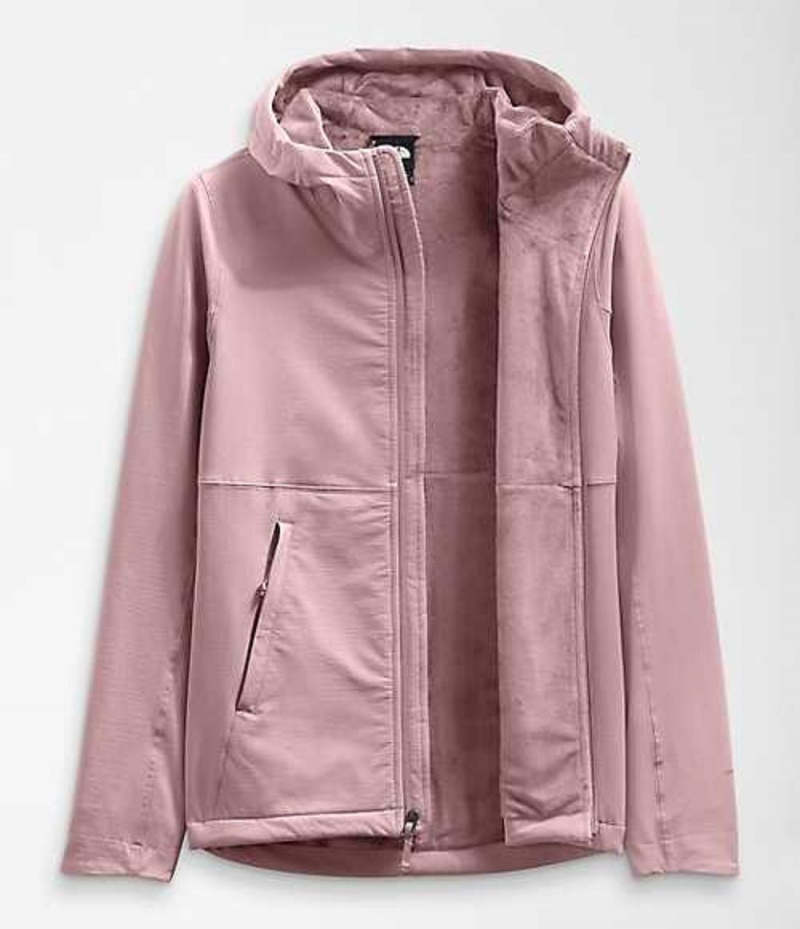 Softshell Jackets The North Face Shelbe Raschel Mujer Moradas | 8495216-EA