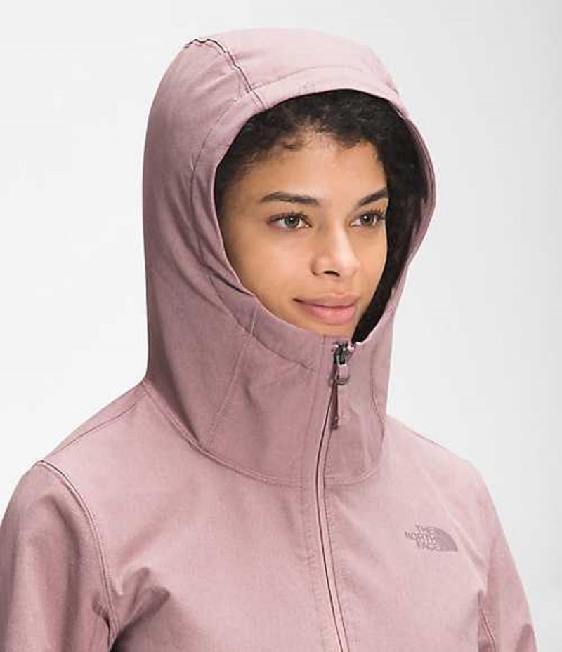 Softshell Jackets The North Face Shelbe Raschel Mujer Moradas | 8495216-EA