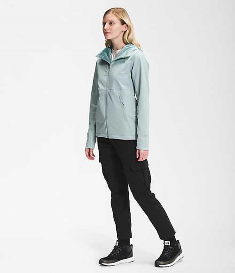 Softshell Jackets The North Face Shelbe Raschel Mujer Plateadas Azules | 0574931-DT