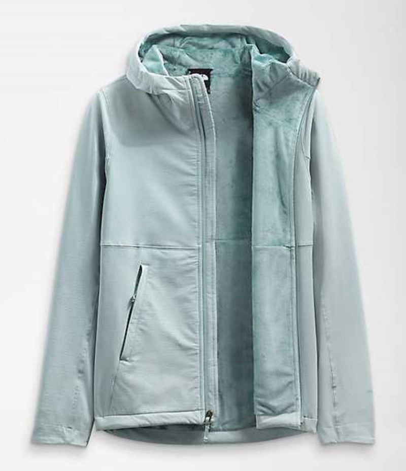 Softshell Jackets The North Face Shelbe Raschel Mujer Plateadas Azules | 0574931-DT