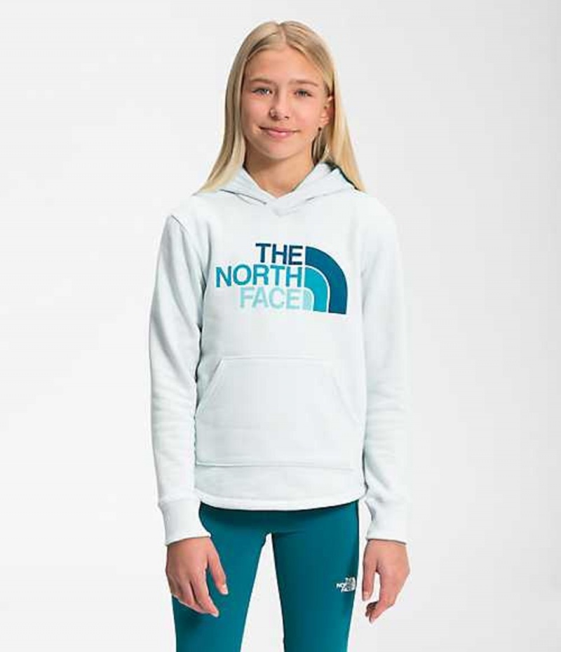 Sudadera con Capucha The North Face Camp Niña Azules | 7826349-FC