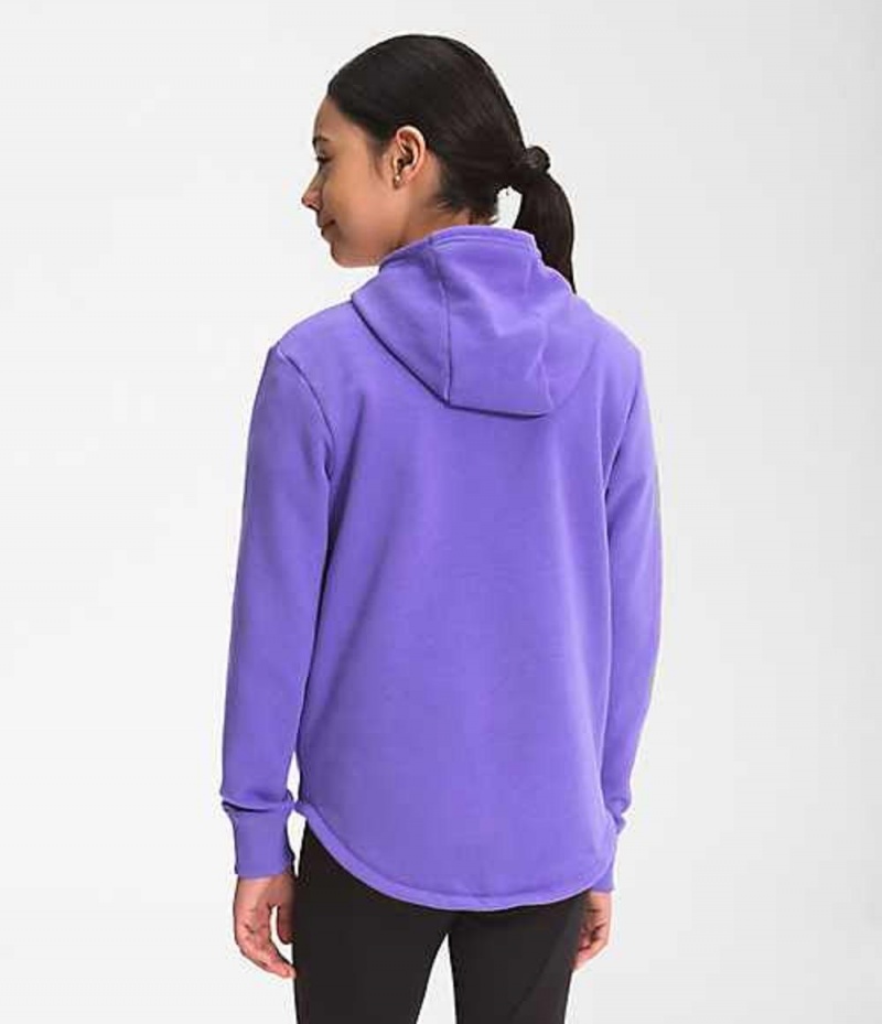 Sudadera con Capucha The North Face Camp Niña Moradas | 6497218-ES