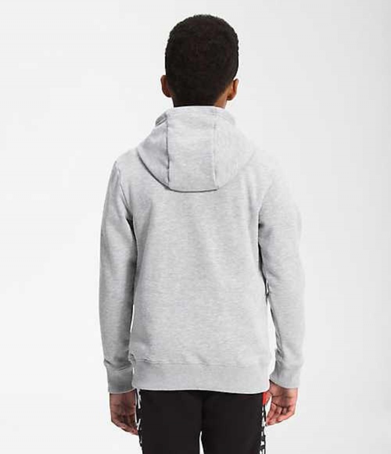 Sudadera con Capucha The North Face Camp Niño Gris Claro Rojas | 9276835-HD