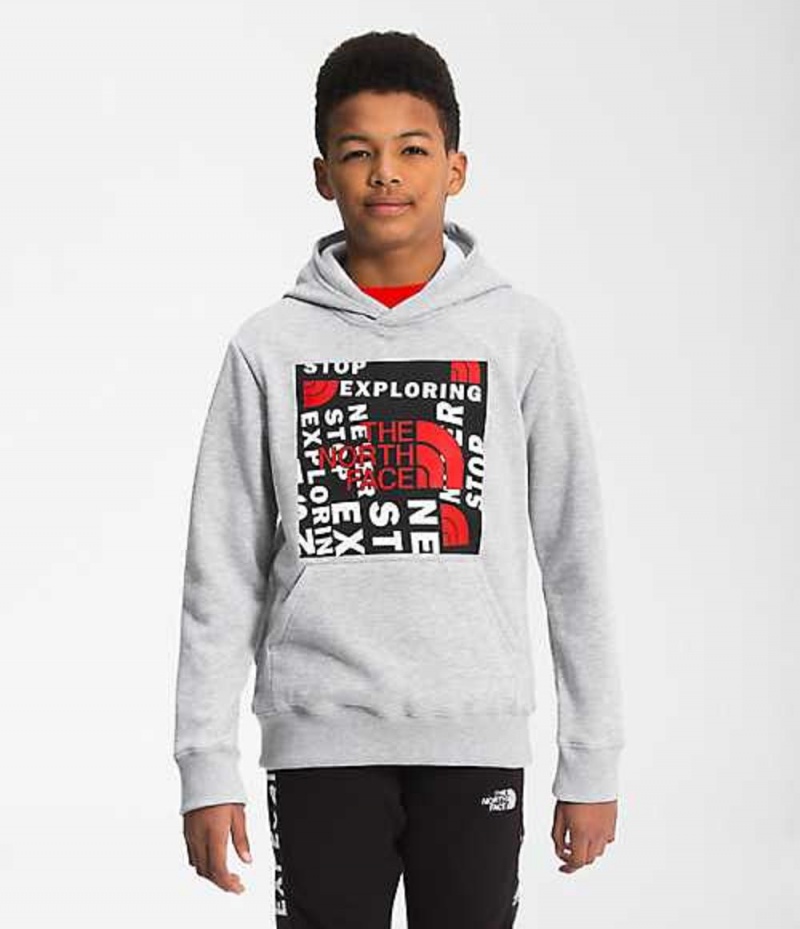 Sudadera con Capucha The North Face Camp Niño Gris Claro Rojas | 9276835-HD