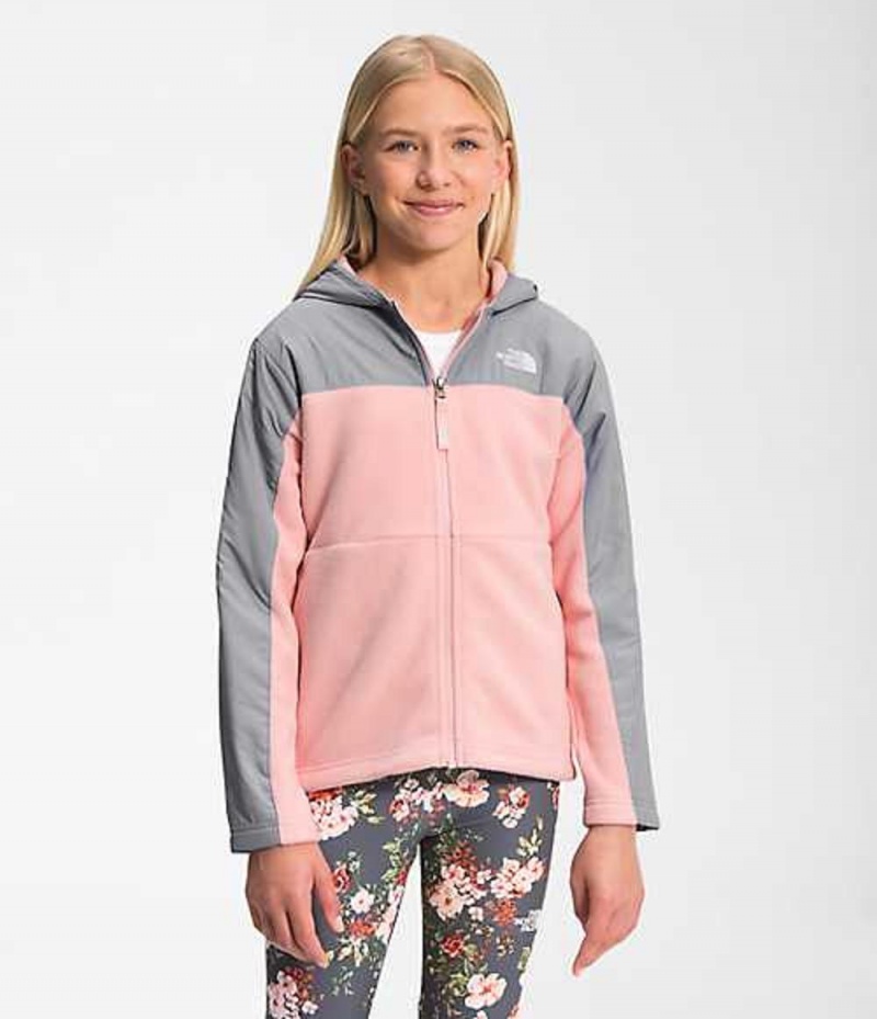 Sudadera con Capucha The North Face Freestyle Niño Rosas Gris | 5360291-MY