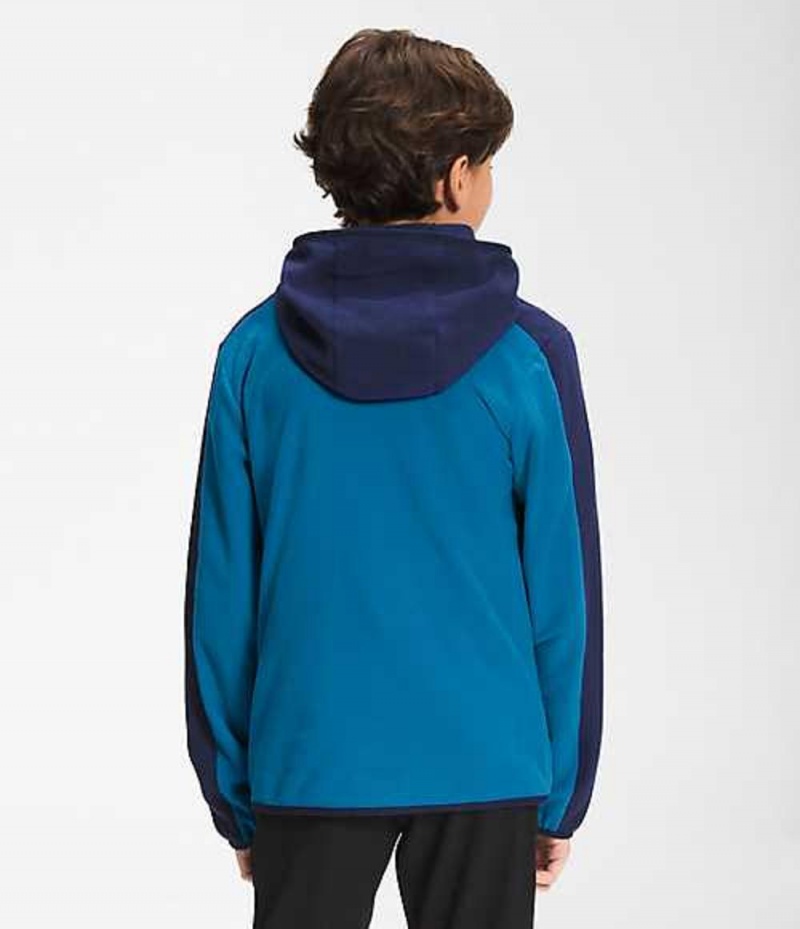 Sudadera con Capucha The North Face Glacier Niña Azules | 0719256-TV