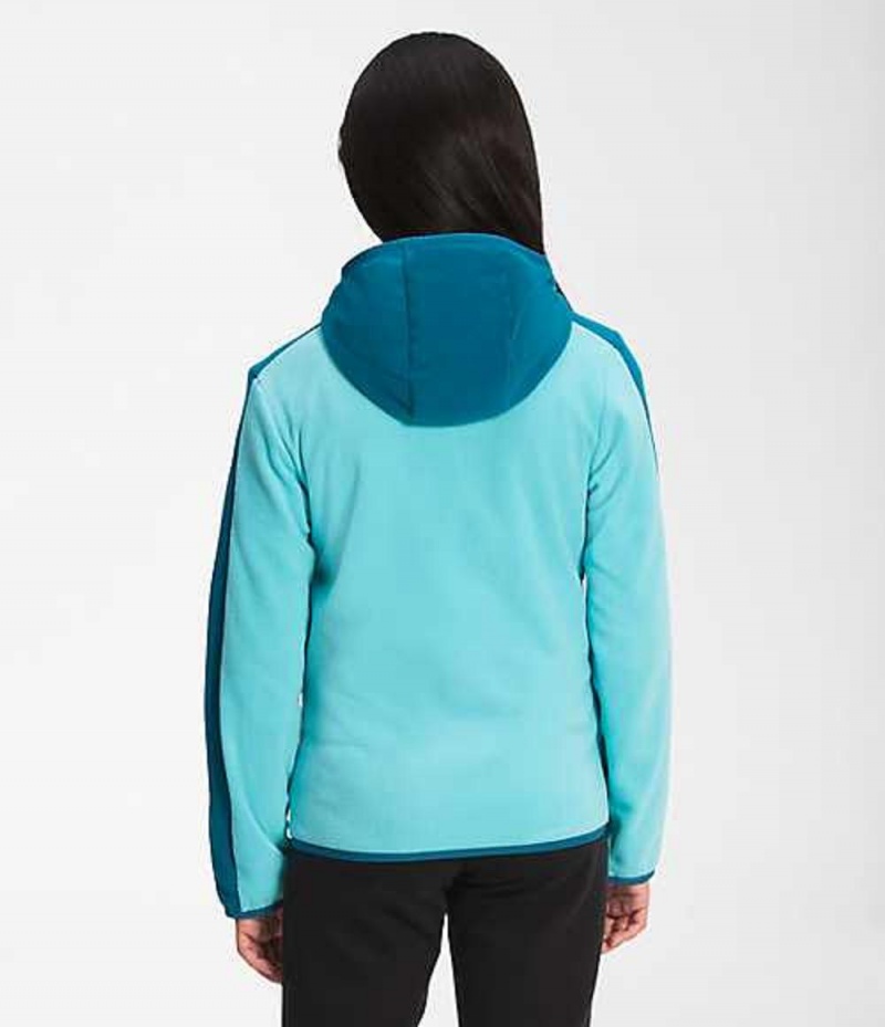 Sudadera con Capucha The North Face Glacier Niña Azules Multicolor | 2574198-SM