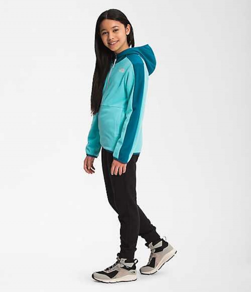 Sudadera con Capucha The North Face Glacier Niña Azules Multicolor | 2574198-SM