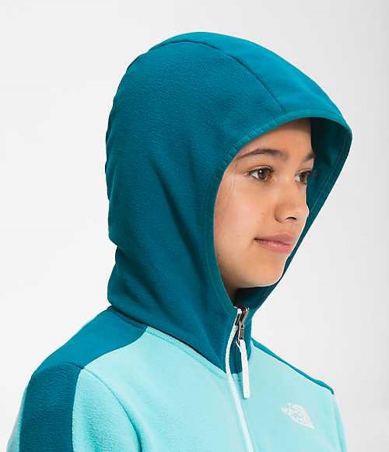 Sudadera con Capucha The North Face Glacier Niña Azules Multicolor | 2574198-SM