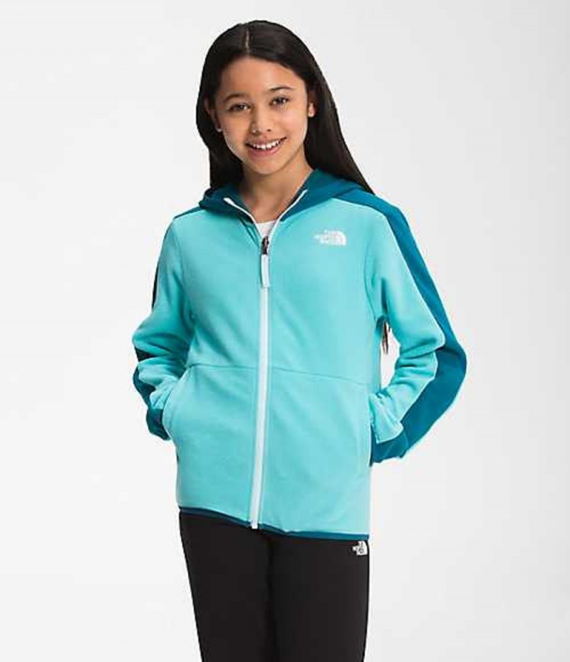 Sudadera con Capucha The North Face Glacier Niña Azules Multicolor | 2574198-SM