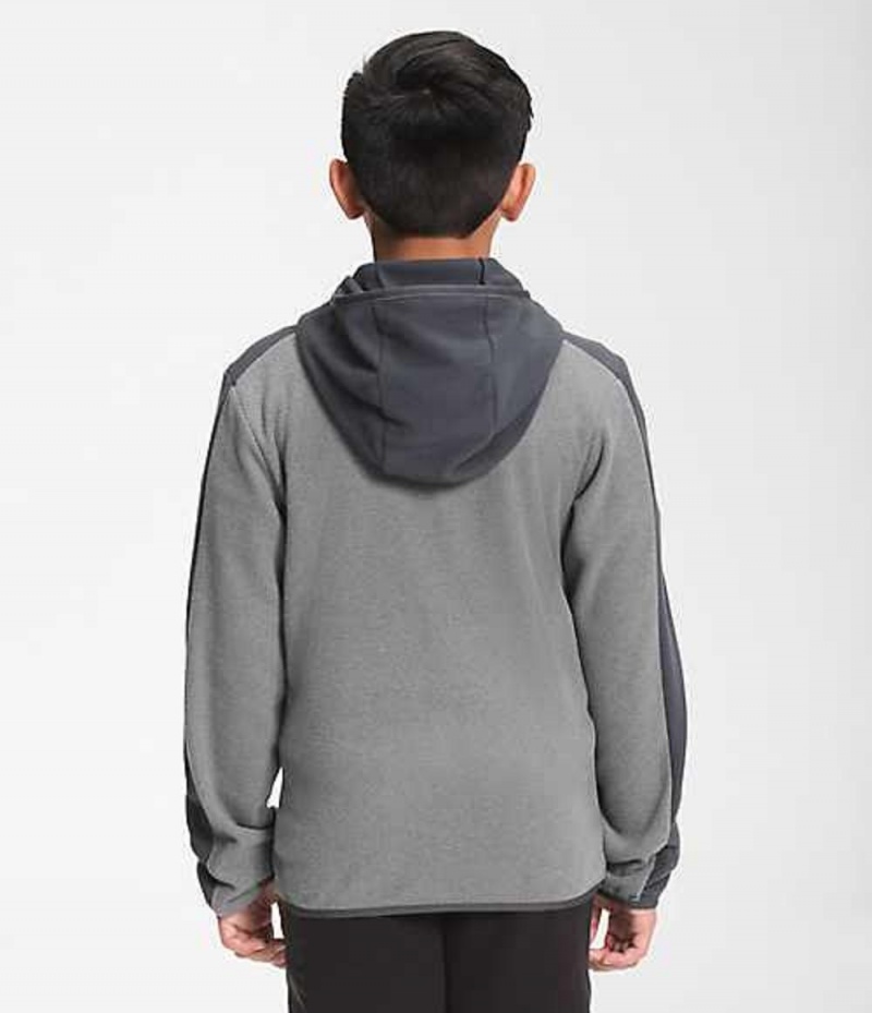 Sudadera con Capucha The North Face Glacier Niña Gris | 0875329-IS