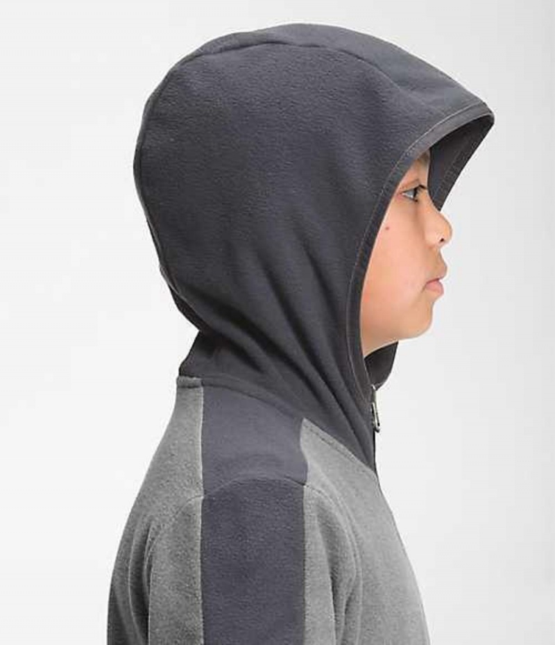 Sudadera con Capucha The North Face Glacier Niña Gris | 0875329-IS