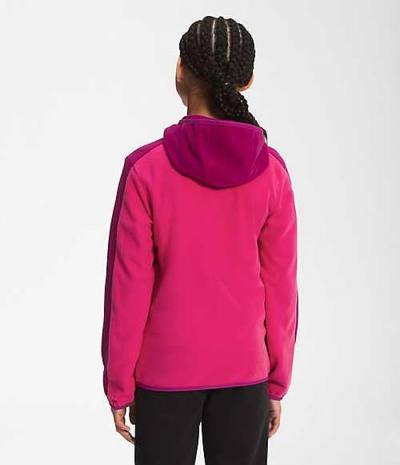 Sudadera con Capucha The North Face Glacier Niña Rosas Multicolor | 7029681-DW