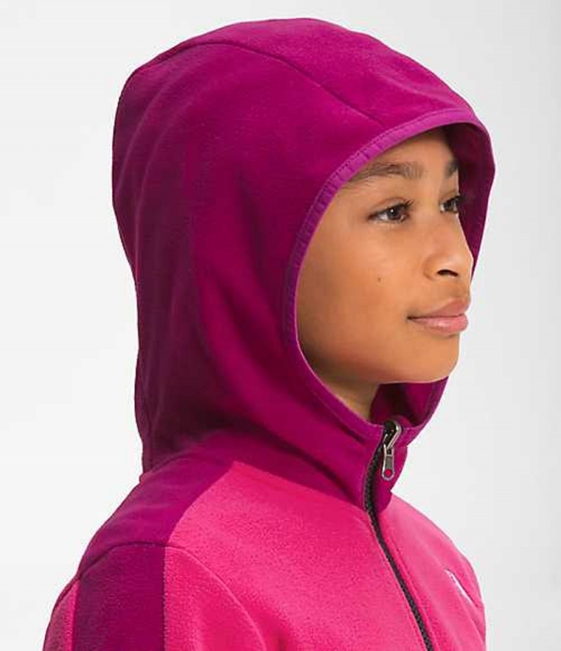 Sudadera con Capucha The North Face Glacier Niña Rosas Multicolor | 7029681-DW