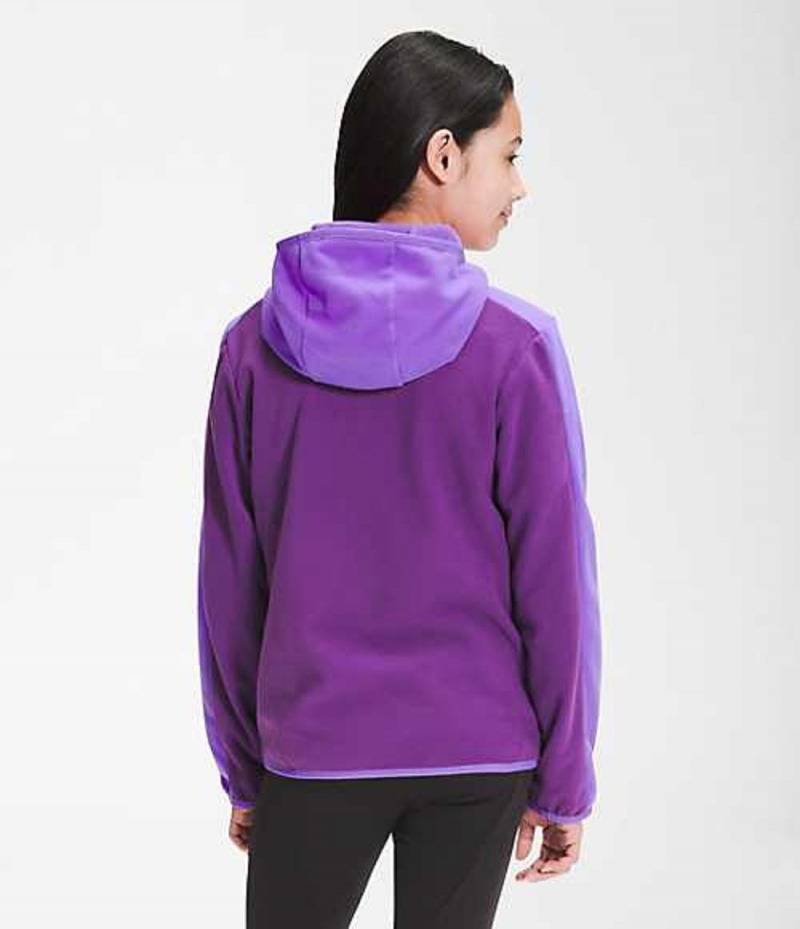 Sudadera con Capucha The North Face Glacier Niño Moradas | 9705841-IO